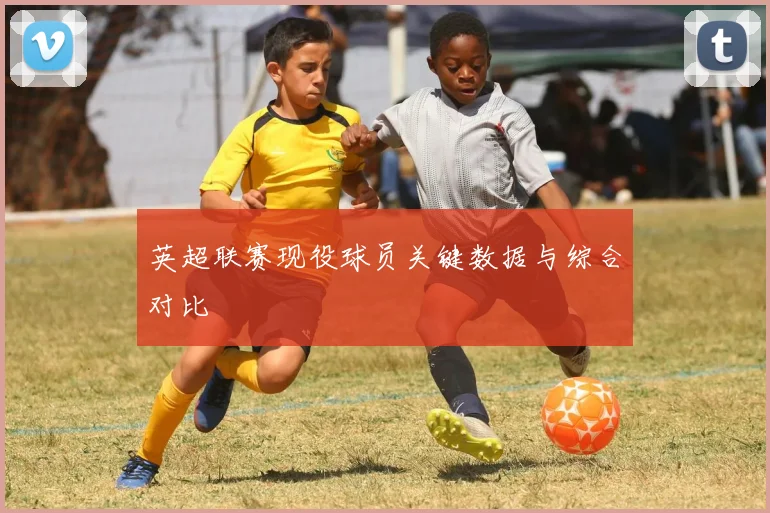 英超联赛现役球员关键数据与综合对比