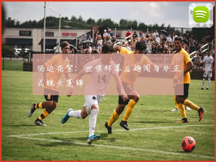 场边花絮：世俱杯幕后趣闻与非正式镜头集锦