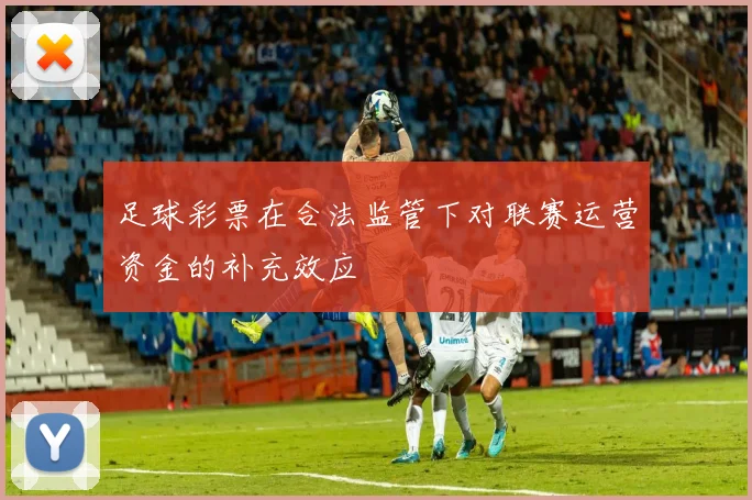 足球彩票在合法监管下对联赛运营资金的补充效应
