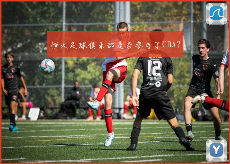 恒大足球俱乐部是否参与了CBA？