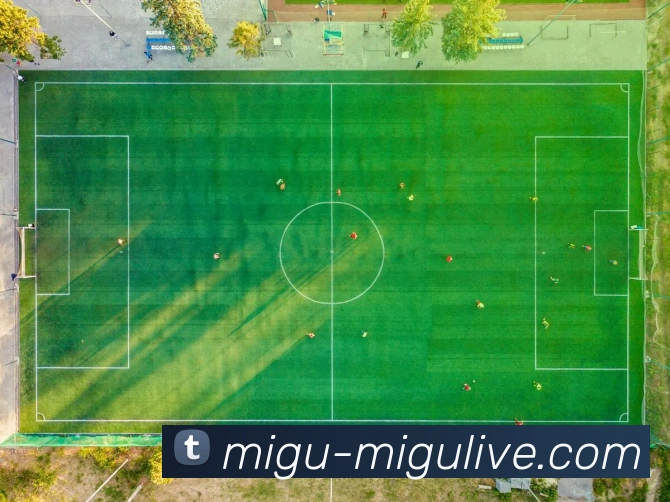 足球直播平台生态图