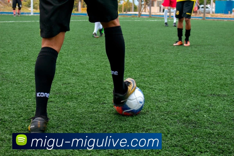 足球直播APP 封面图